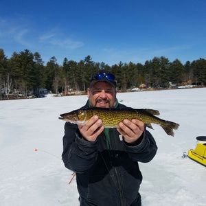 Meet your Posher, Andy